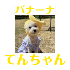 Yurimaru_20260430195052
