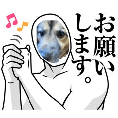 Nosu kawaii_20260430195842