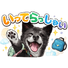 chiimame_20260430194214