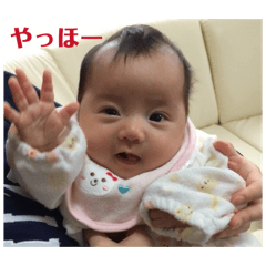 Taiga_20260430200329