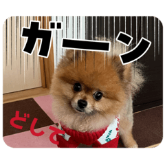 kentakun_20260430200118