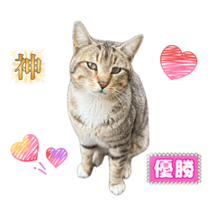 chocobee_20260430203510