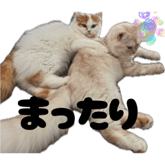 kyon_20260430200310