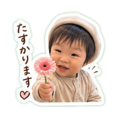 yuri_20260430185708
