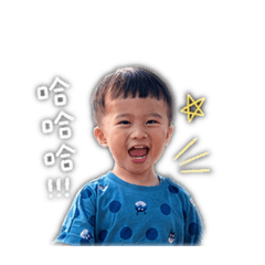 新01