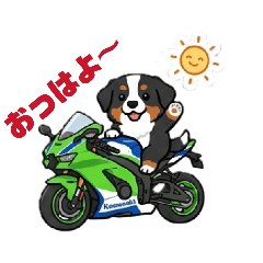 B.M.Dogs_20260430200705