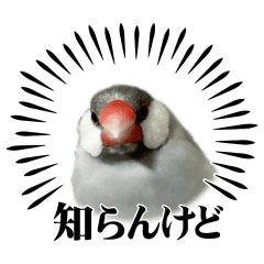 Pee_20260430201126