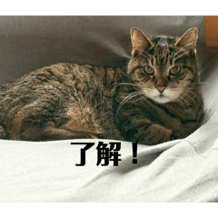 wanwan_20260430201422