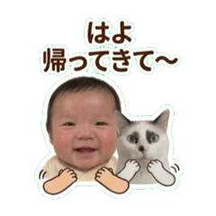 tanari_20260430200537
