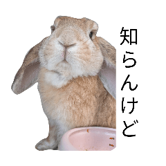 utinoko no mama_20260430204038