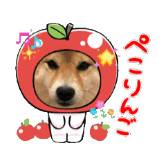 ai_20260501175343