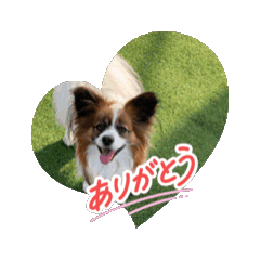 katumi_20260501195230