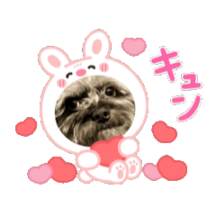 latte.mocha_20260501191557