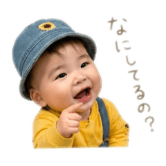 kame_20260430191417