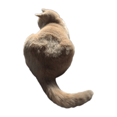 m_20260430191321