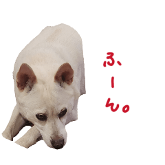 taki_20260430205748