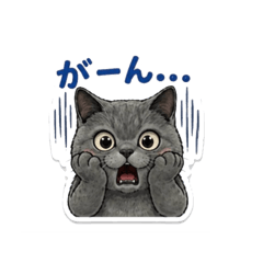 Orin_20260430210147