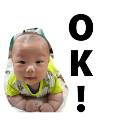 tanukiminion_20260430192124