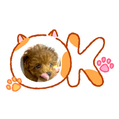 Chococo_20260430210109