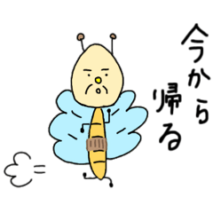 hana_20260430210005