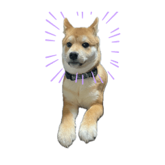 Hayashi_20260430210821