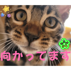 Watasi_20260430210459
