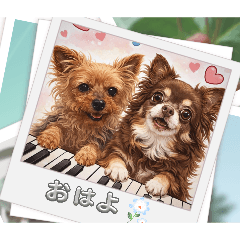 piyomichan_20260430210917