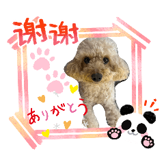 maaboo_20260430212359