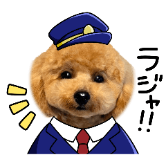 kazZ_20260430212838