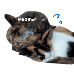 katakurikooo_66