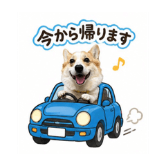 SHIYUA_20260430212912