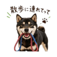 gaku1219_20260430210543