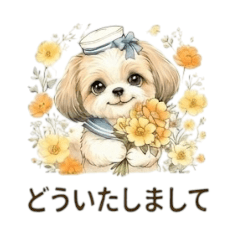 amiami_20260430212744