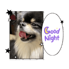 OHAGGI_20260501223556