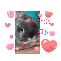 Momoyo_20260502061612