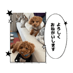 Kazue_20260501222216