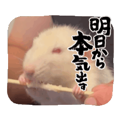 tatsuya_20260502010247