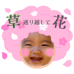SAKI_20260430213018