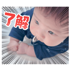 sh1okyarameru_20260430213252