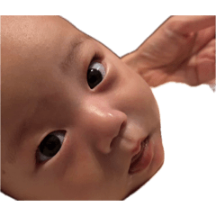 shun_20260430194009