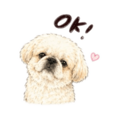 chiaki:_20260430220426
