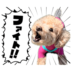 AMORU_20260430220837