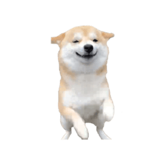 harubuu_20260430220357