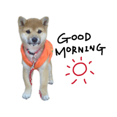 MAI_20260430221353