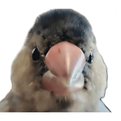 Piroshi_20260430221035