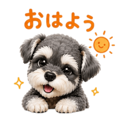 Ran_20260430221208