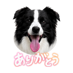 honoharu_20260430195017