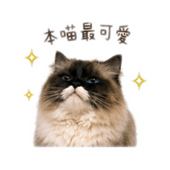日常小胖錢︎♡