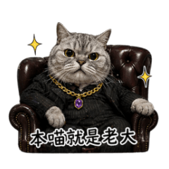 美短 台客篇