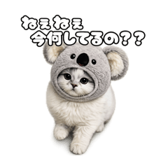 yachiwo_20260430201802